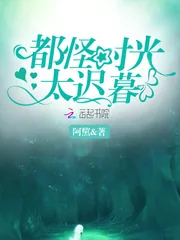 《都怪时光太迟暮》小说封面