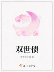 《双世债》小说封面