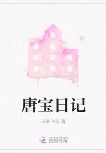 《唐宝日记》小说封面