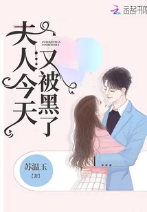 《夫人今天又被黑了》小说封面