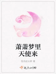 《萧萧梦里天使来》小说封面