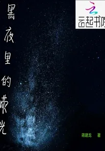 《黑夜里的荧光》小说封面
