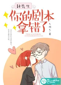 《封先生，你的剧本拿错了》小说封面