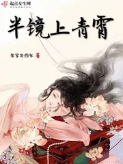 《半镜上青霄》小说封面