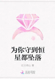 《为你守到恒星都坠落》小说封面