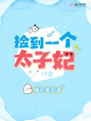 《捡到一个太子妃》小说封面