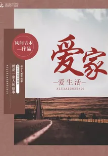 《爱家爱生活》小说封面