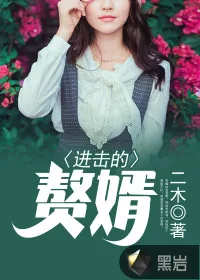 《进击的赘婿》小说封面
