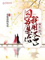 《因为是你我用尽了所有运气》小说封面