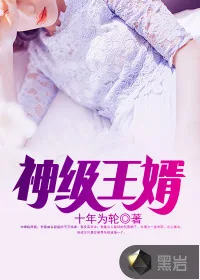 《神级王婿》小说封面
