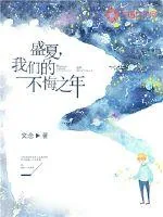 《盛夏，我们的不悔之年》小说封面