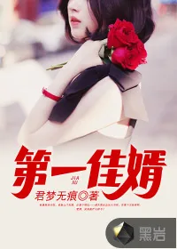 《第一佳婿》小说封面