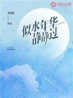 《似水年华静静过》小说封面