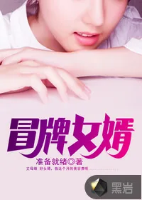 《冒牌女婿》小说封面