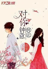 《对你何止钟意》小说封面