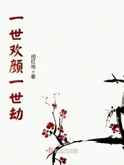 《一世欢颜一世劫》小说封面