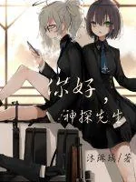 《你好，神探先生》小说封面