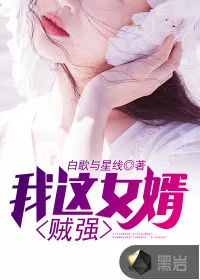 《我这女婿贼强》小说封面